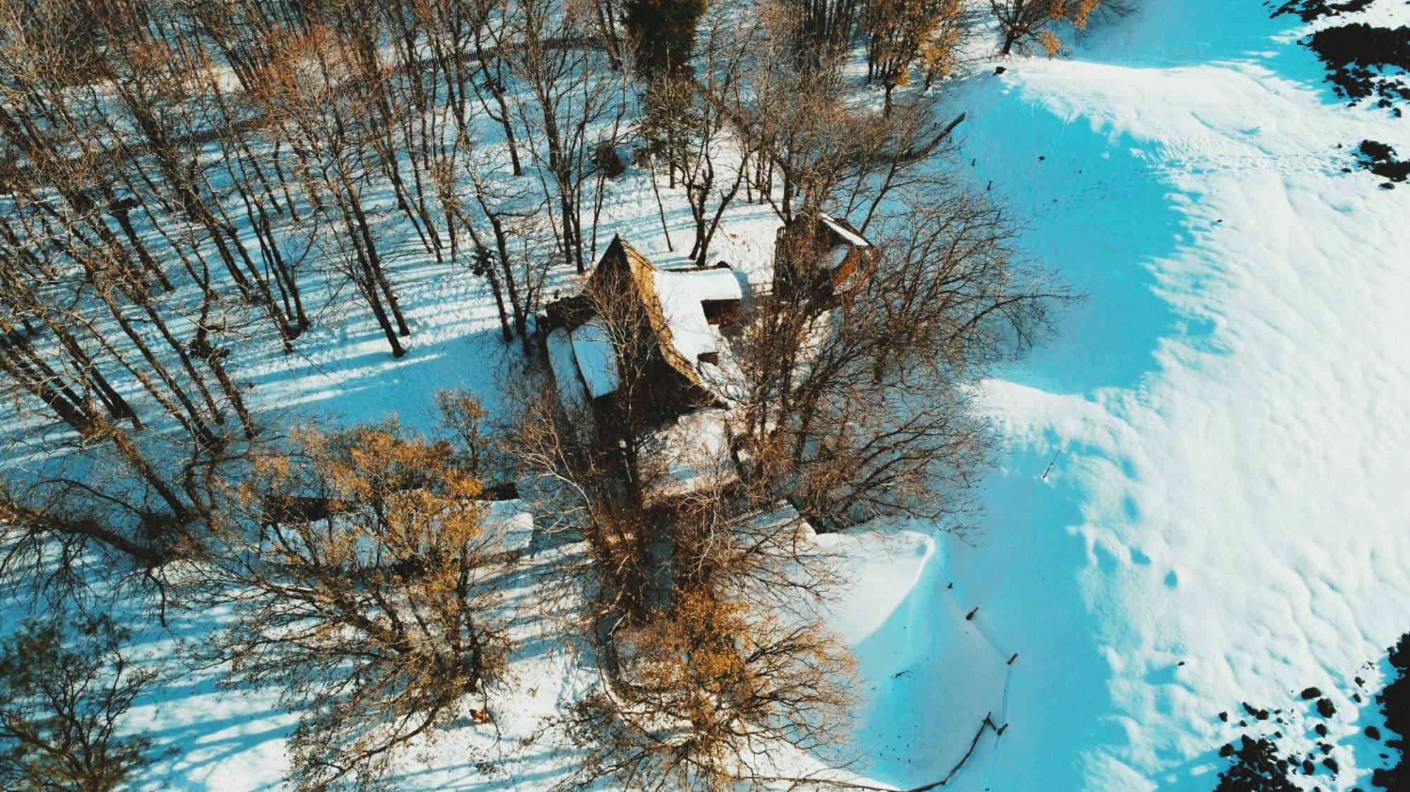 Matilde'S Chalet Etna Nature House Nicolosi Exterior photo